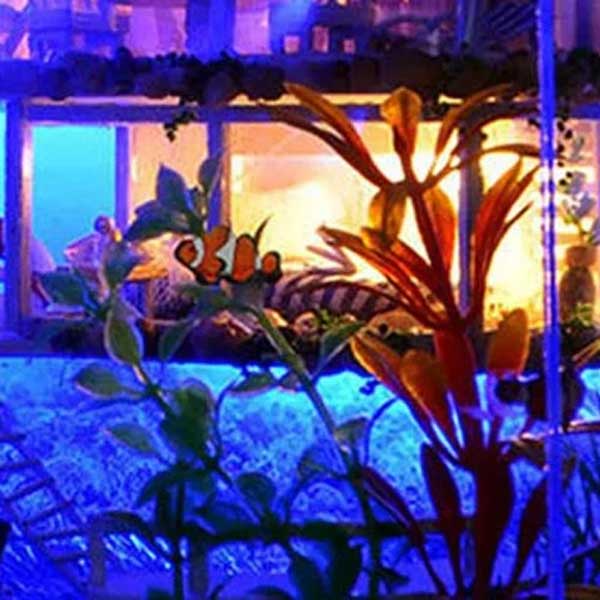 Aquarium Mansion DIY Miniature Dollhouse_Description_6