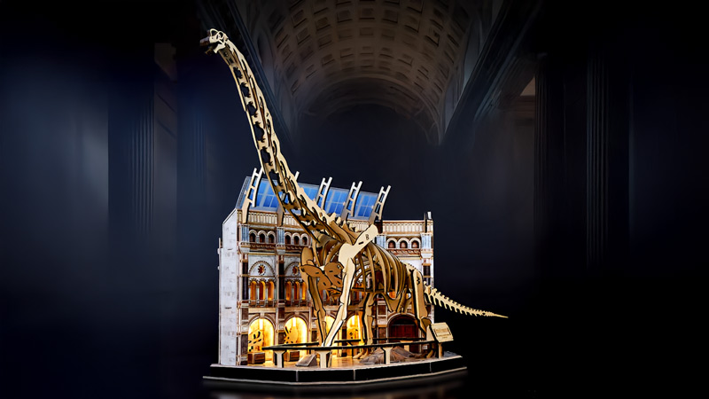 Natural Museum 3D Puzzle_Description_1