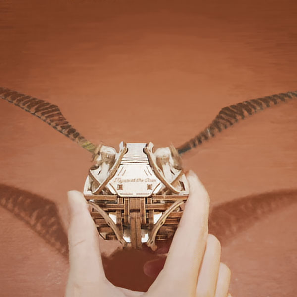 Golden Snitch 3D Wooden Puzzle_Description_4