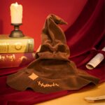 Talking Sorting Hat 3D Wooden Puzzle_2