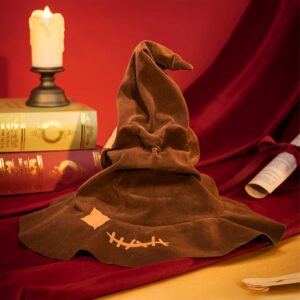 Talking Sorting Hat 3D Wooden Puzzle_2