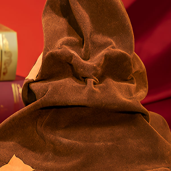 Talking Sorting Hat 3D Wooden Puzzle_Description_3