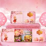 Time Message Box Series DIY Miniature Dollhouse_Spring_Cottage_2