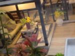 Customer_Dora8217s Bamboo Courtyard DIY Miniature DollhouseDora’s Bamboo Courtyard DIY Miniature Dollhouse 2