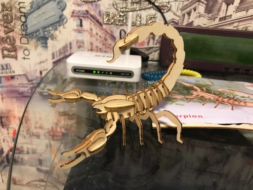 Insect Animal 3D Wooden Puzzle photo review